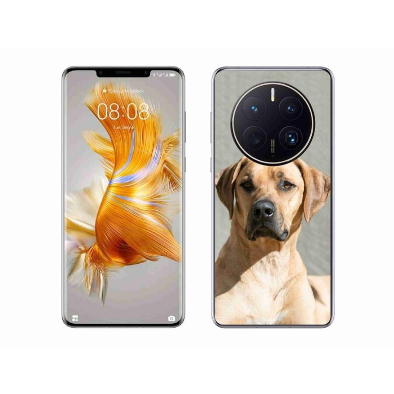 Gelový kryt mmCase na mobil Huawei Mate 50 Pro - ridgeback