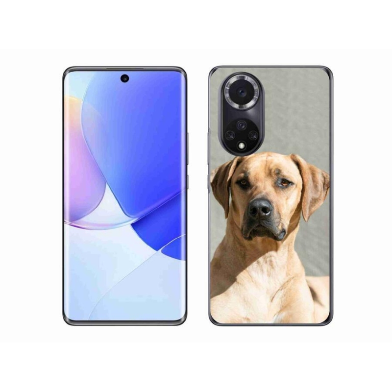 Gelový kryt mmCase na mobil Huawei Nova 9 - ridgeback