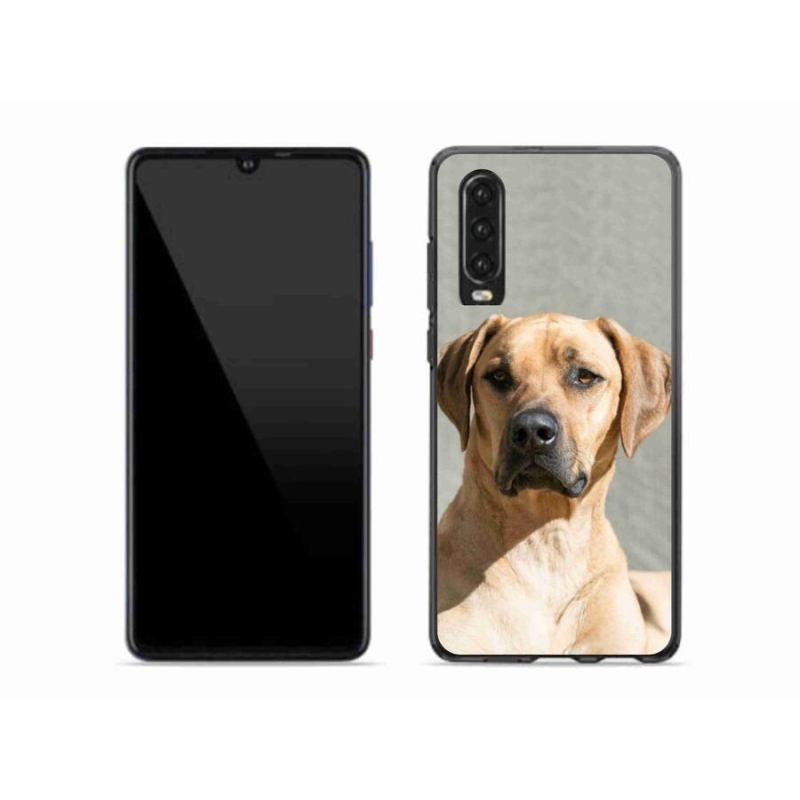 Gelový kryt mmCase na mobil Huawei P30 - ridgeback