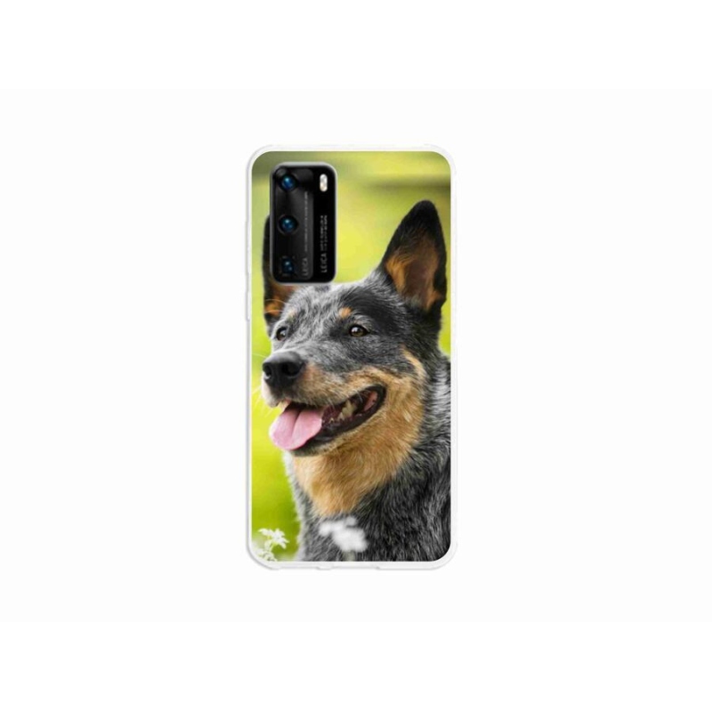 Gelový kryt mmCase na mobil Huawei P40 - australský honácký pes
