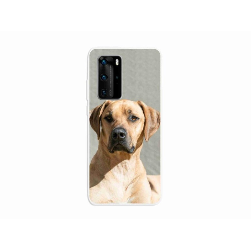 Gelový kryt mmCase na mobil Huawei P40 Pro - ridgeback