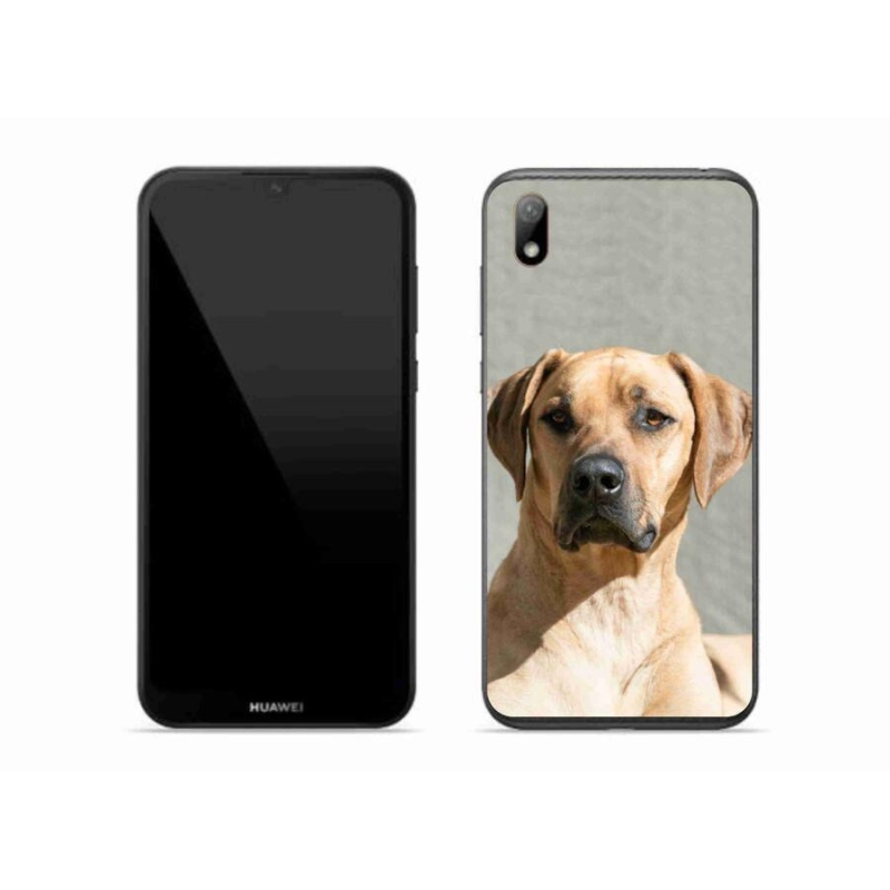Gelový kryt mmCase na mobil Huawei Y5 (2019) - ridgeback