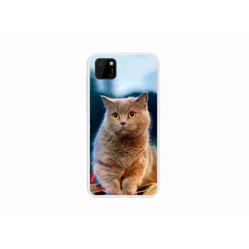 Gelový kryt mmCase na mobil Huawei Y5p - britská modrá 2