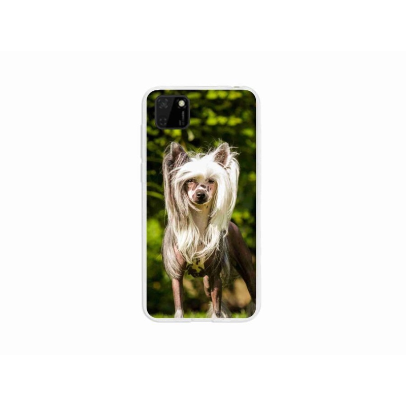 Gelový kryt mmCase na mobil Huawei Y5p - čínský chocholatý pes
