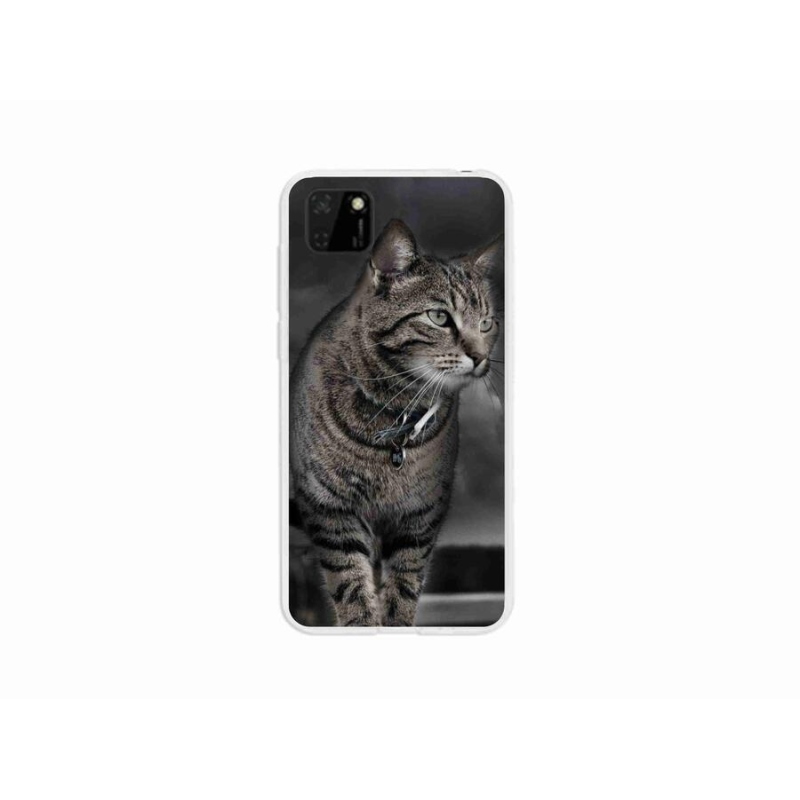 Gelový kryt mmCase na mobil Huawei Y5p - kočka
