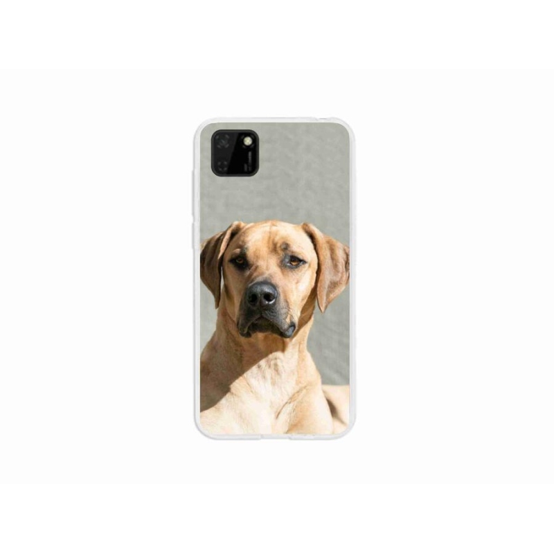 Gelový kryt mmCase na mobil Huawei Y5p - ridgeback