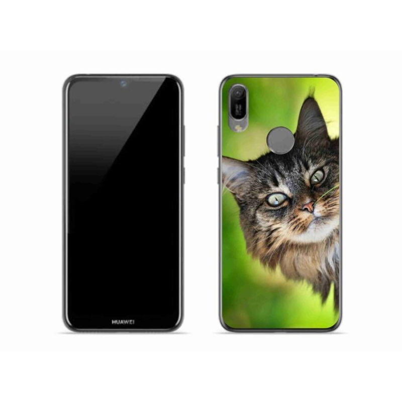Gelový kryt mmCase na mobil Huawei Y6 (2019) - kočka 3