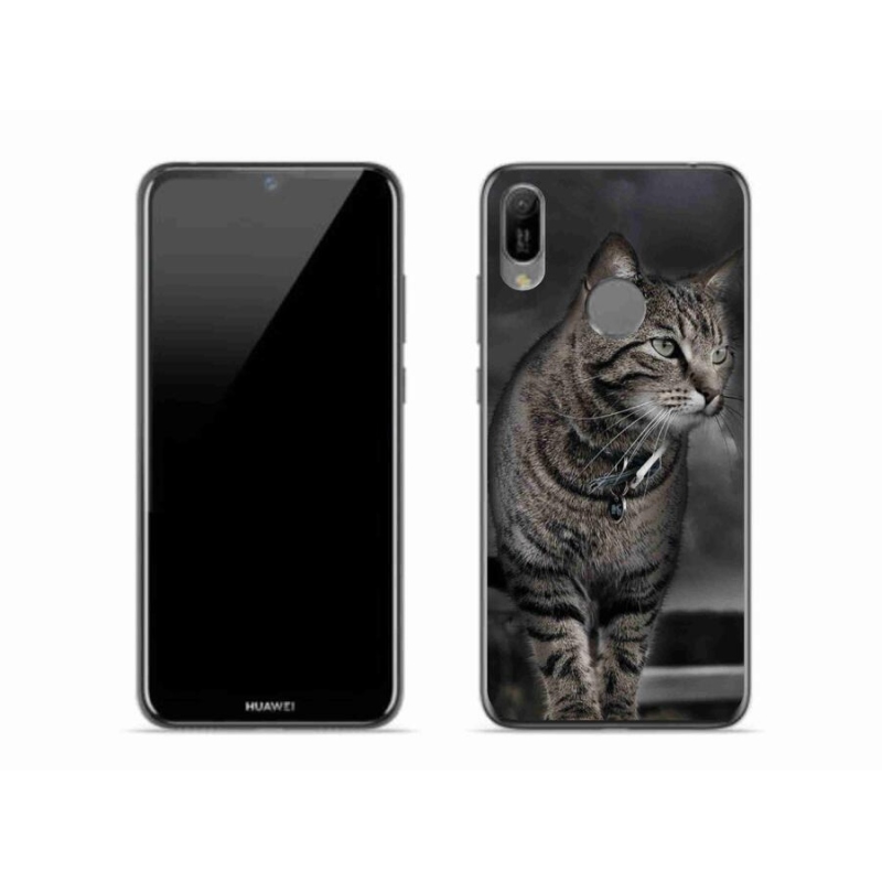 Gelový kryt mmCase na mobil Huawei Y6 (2019) - kočka