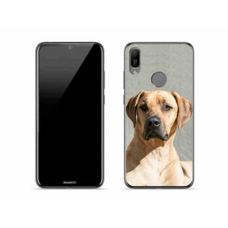 Gelový kryt mmCase na mobil Huawei Y6 (2019) - ridgeback