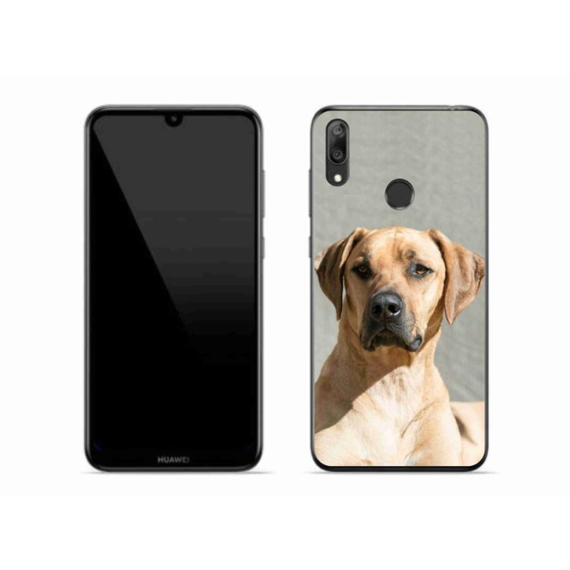 Gelový kryt mmCase na mobil Huawei Y7 (2019) - ridgeback