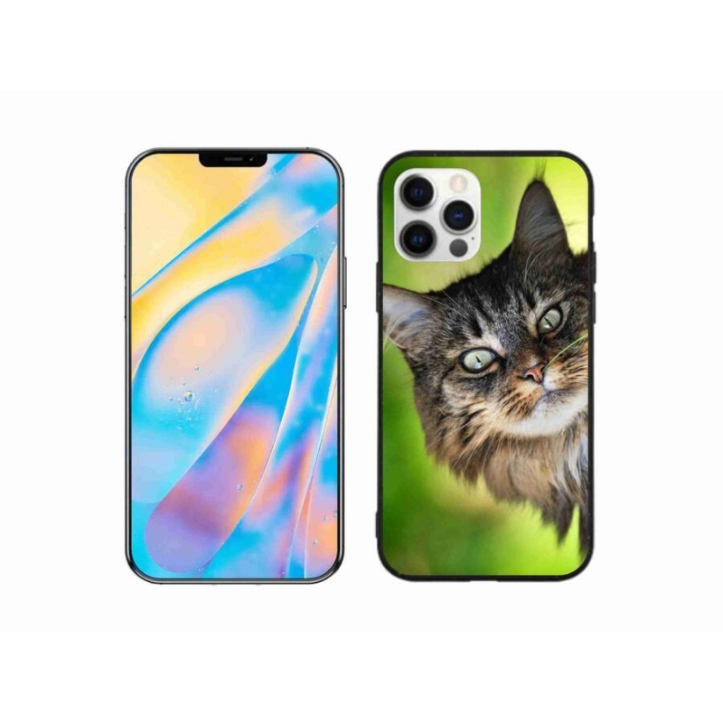 Gelový kryt mmCase na mobil iPhone 12 - kočka 3