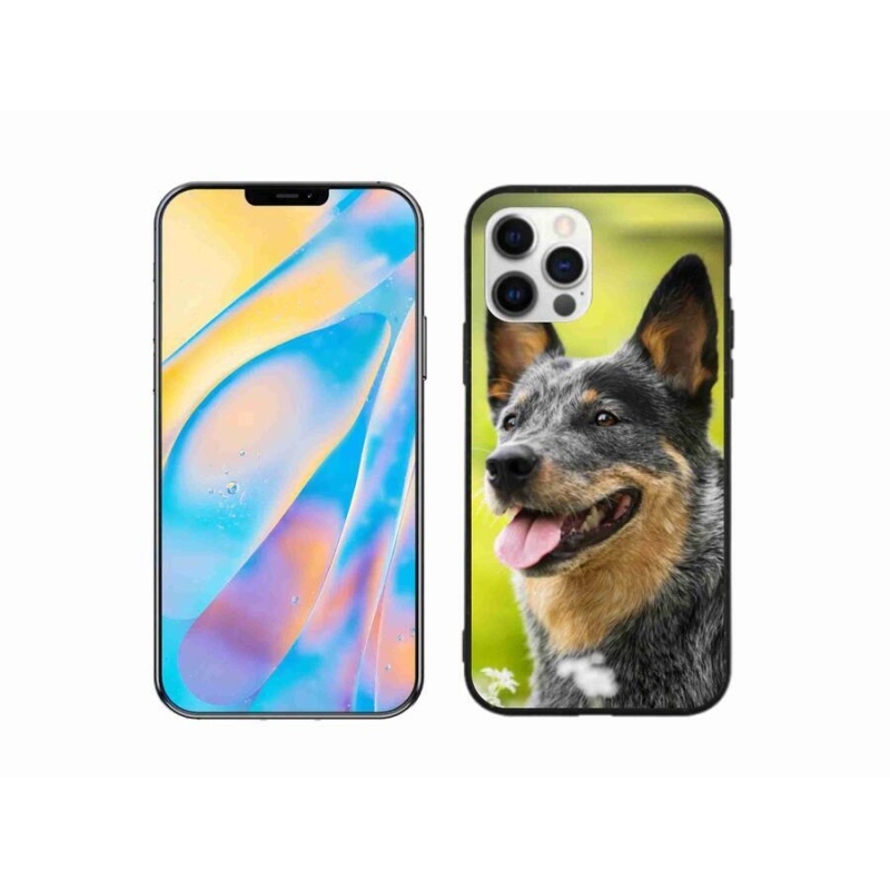 Gelový kryt mmCase na mobil iPhone 12 Pro - australský honácký pes