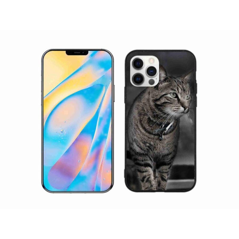 Gelový kryt mmCase na mobil iPhone 12 Pro - kočka