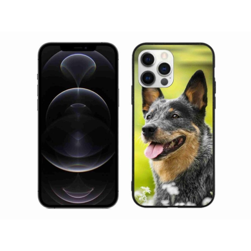 Gelový kryt mmCase na mobil iPhone 12 Pro Max - australský honácký pes