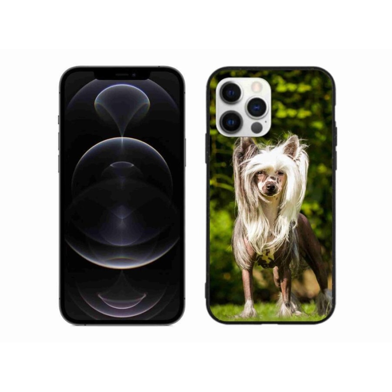 Gelový kryt mmCase na mobil iPhone 12 Pro Max - čínský chocholatý pes