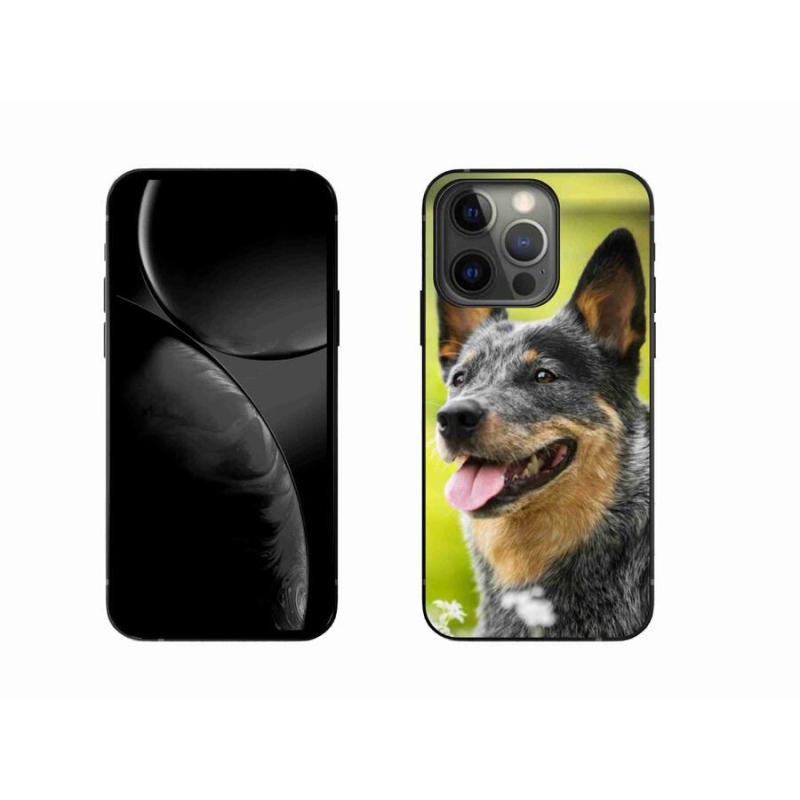 Gelový kryt mmCase na mobil iPhone 13 Pro 6.1 - australský honácký pes