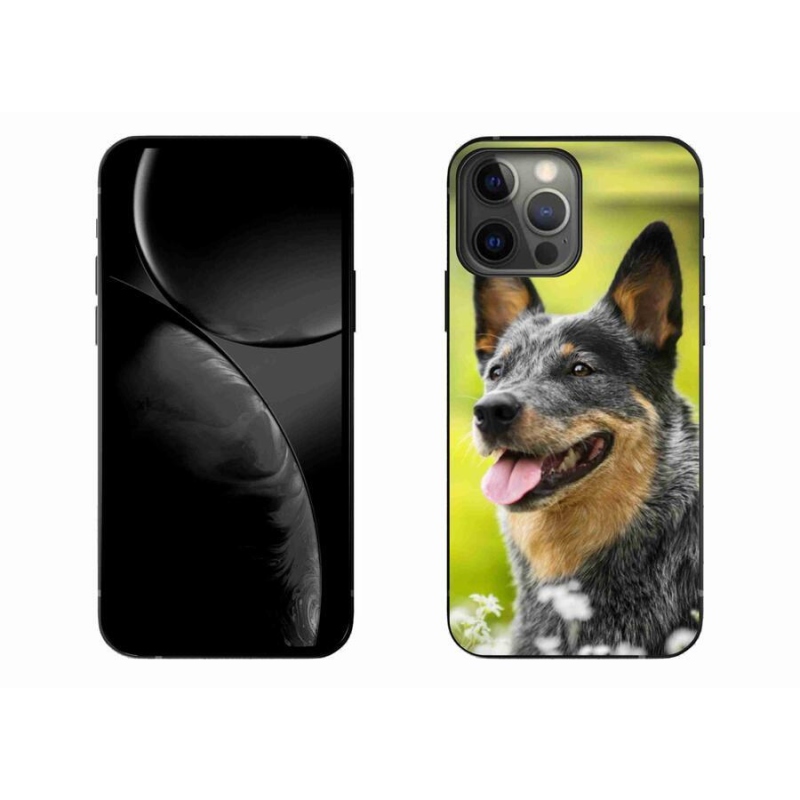 Gelový kryt mmCase na mobil iPhone 13 Pro Max 6.7 - australský honácký pes
