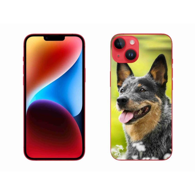 Gelový kryt mmCase na mobil iPhone 14 Plus - australský honácký pes