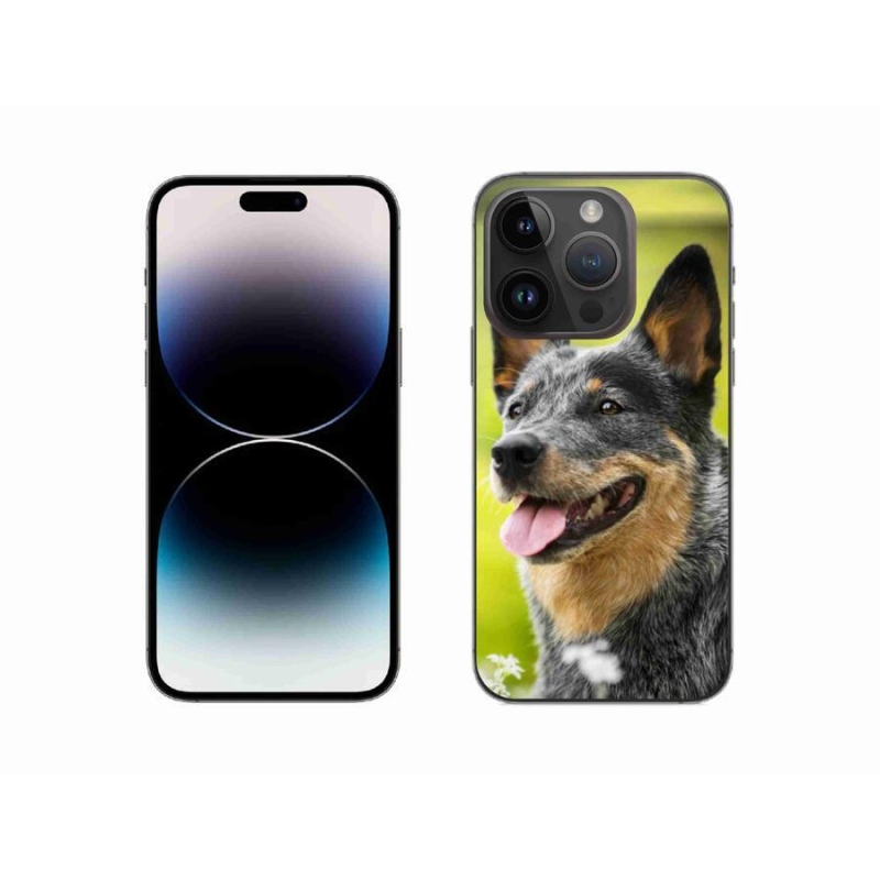Gelový kryt mmCase na mobil iPhone 14 Pro 6.1 - australský honácký pes