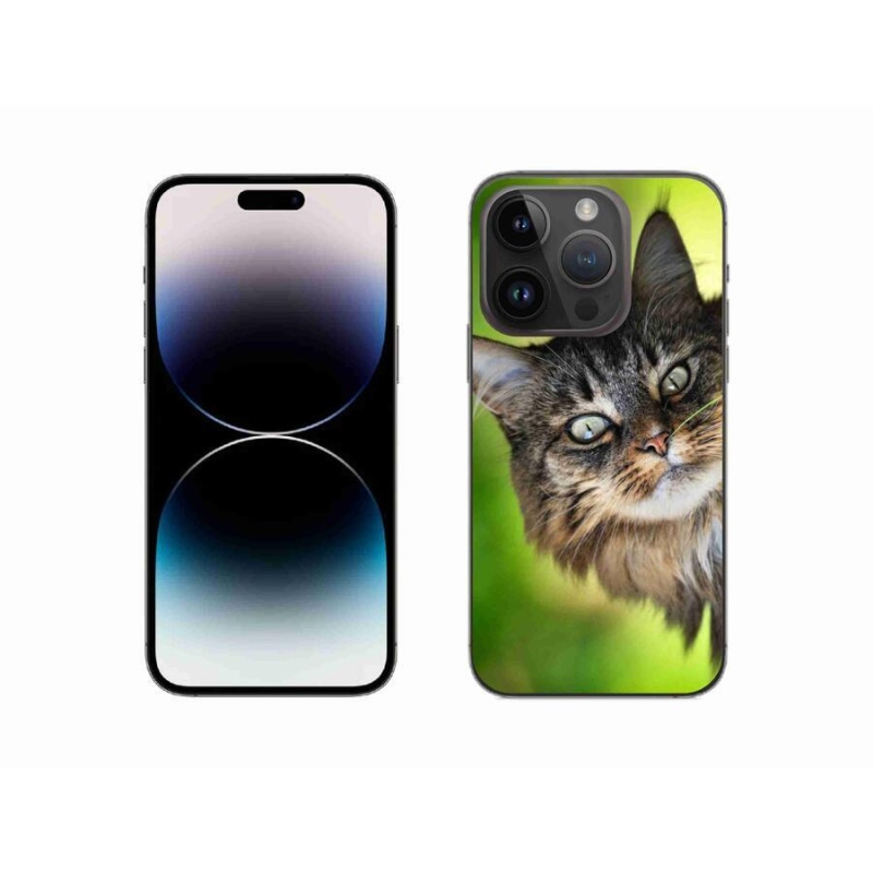 Gelový kryt mmCase na mobil iPhone 14 Pro 6.1 - kočka 3