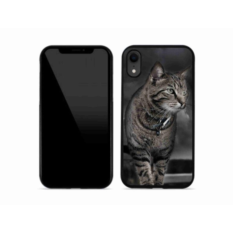 Gelový kryt mmCase na mobil iPhone XR - kočka