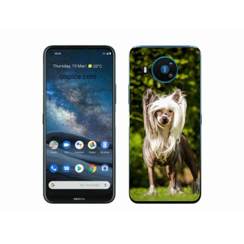 Gelový kryt mmCase na mobil Nokia 8.3 5G - čínský chocholatý pes