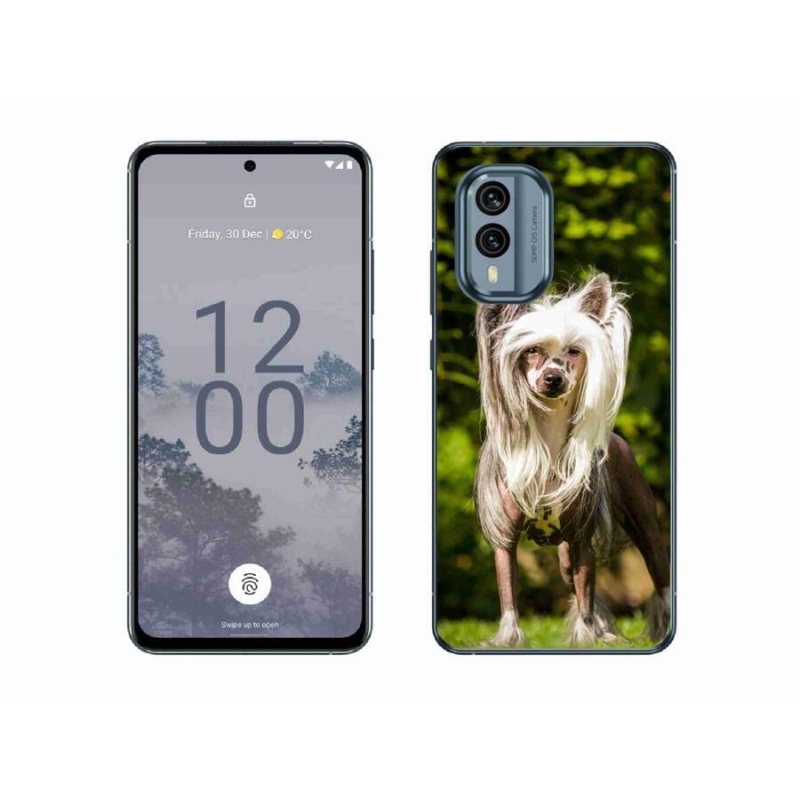 Gelový kryt mmCase na mobil Nokia X30 5G - čínský chocholatý pes