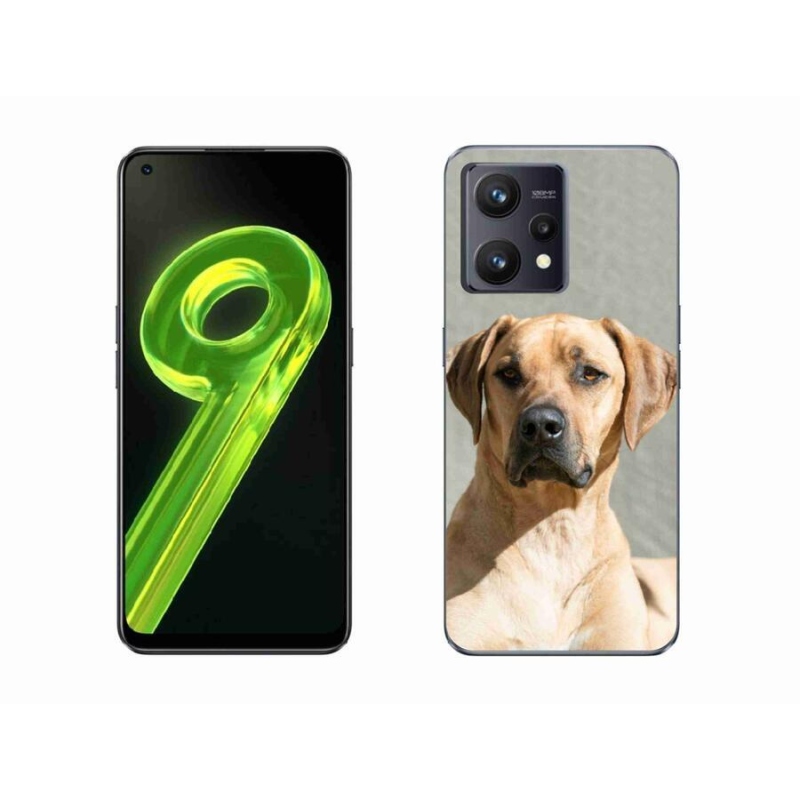 Gelový kryt mmCase na mobil Realme 9 4G - ridgeback