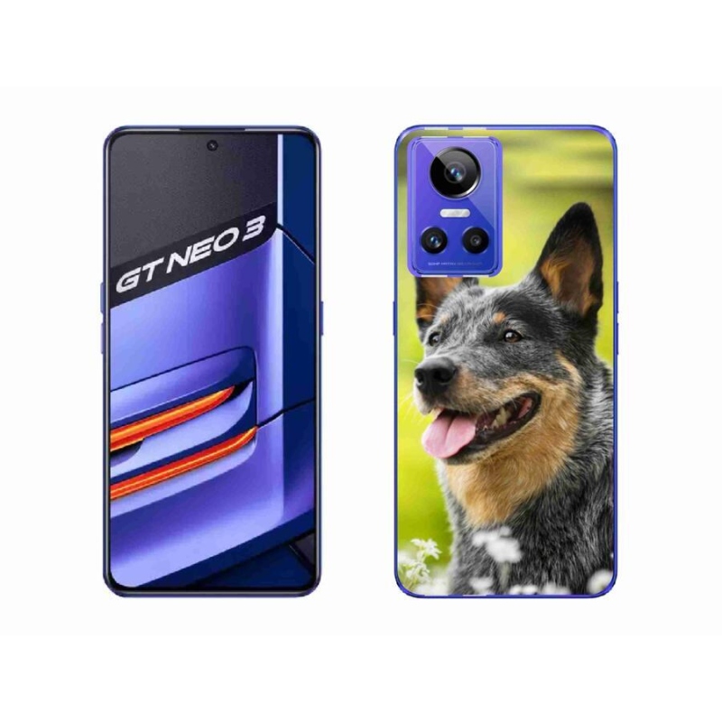 Gelový kryt mmCase na mobil Realme GT Neo 3 - australský honácký pes