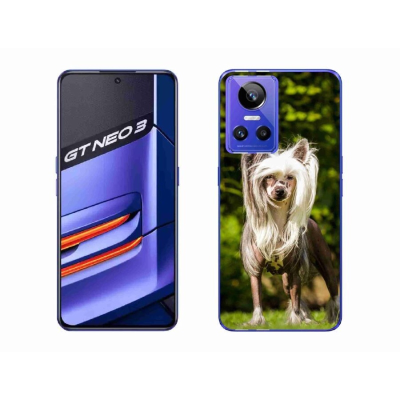 Gelový kryt mmCase na mobil Realme GT Neo 3 - čínský chocholatý pes