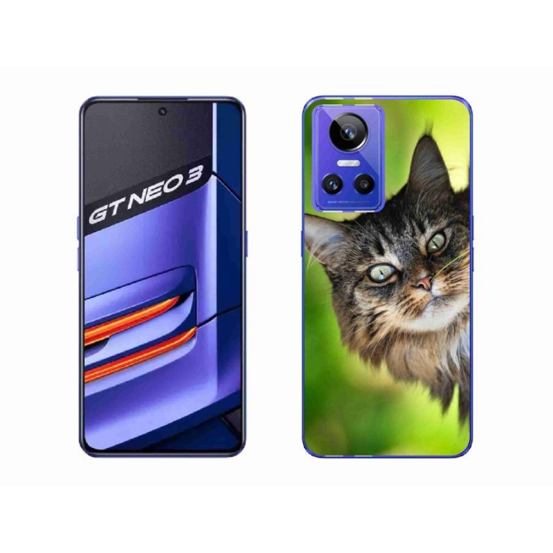 Gelový kryt mmCase na mobil Realme GT Neo 3 - kočka 3