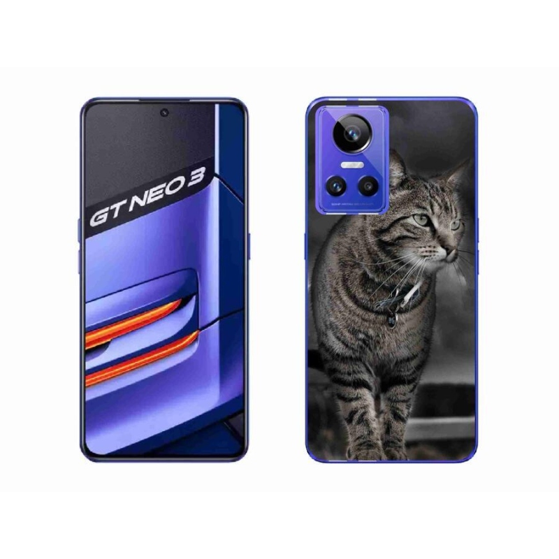 Gelový kryt mmCase na mobil Realme GT Neo 3 - kočka