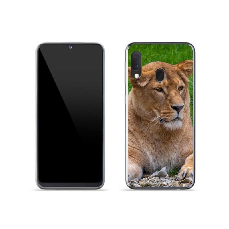 Gelový kryt mmCase na mobil Samsung Galaxy A20e - lvice