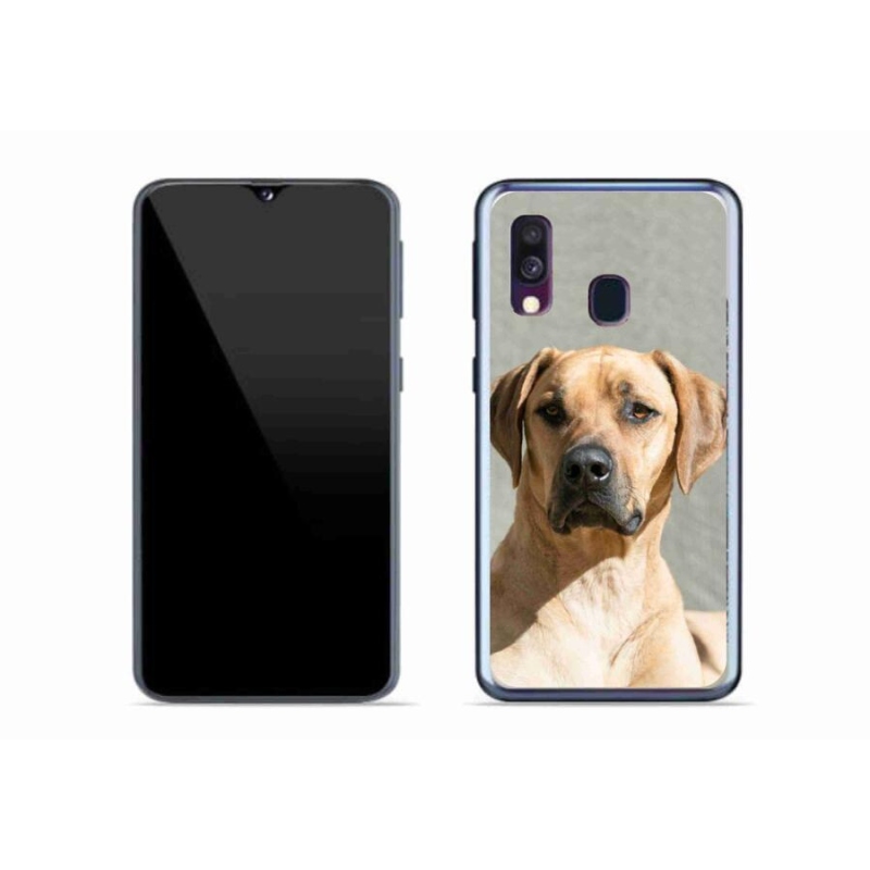 Gelový kryt mmCase na mobil Samsung Galaxy A40 - ridgeback