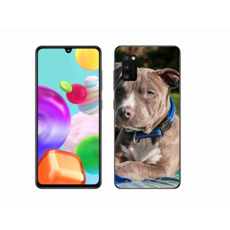 Gelový kryt mmCase na mobil Samsung Galaxy A41 - pitbull
