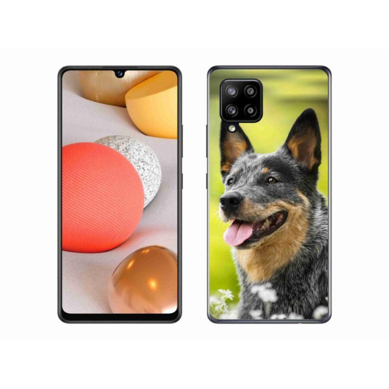 Gelový kryt mmCase na mobil Samsung Galaxy A42 5G - australský honácký pes