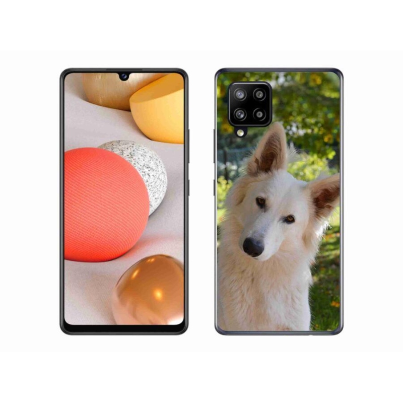 Gelový kryt mmCase na mobil Samsung Galaxy A42 5G - bílý švýcarský ovčák 1