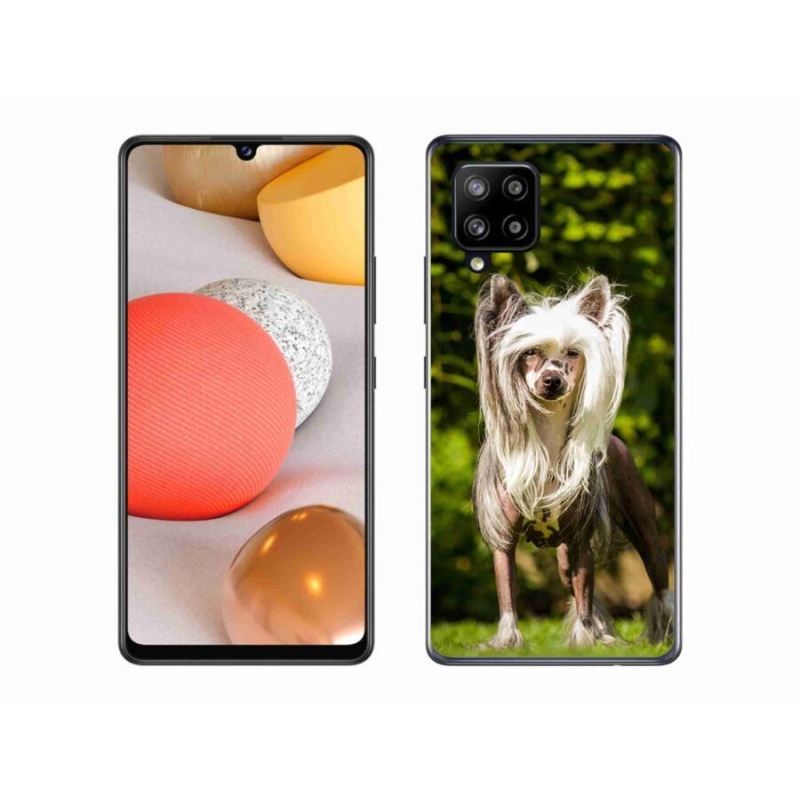 Gelový kryt mmCase na mobil Samsung Galaxy A42 5G - čínský chocholatý pes