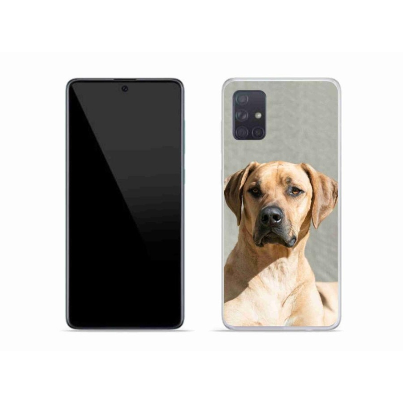 Gelový kryt mmCase na mobil Samsung Galaxy A51 - ridgeback