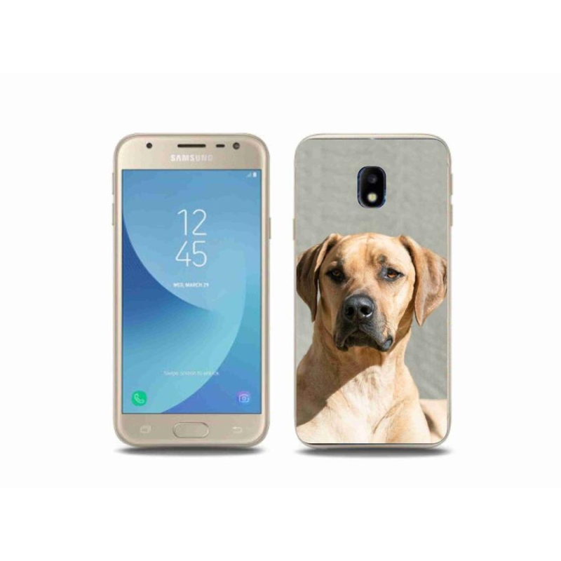 Gelový kryt mmCase na mobil Samsung Galaxy J3 (2017) - ridgeback