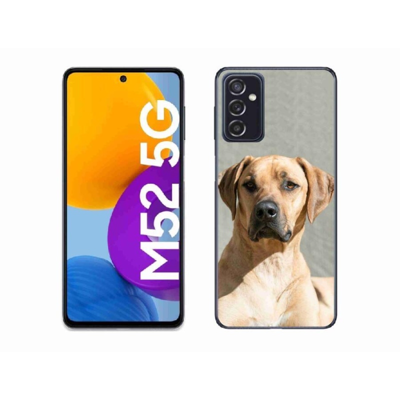 Gelový kryt mmCase na mobil Samsung Galaxy M52 5G - ridgeback