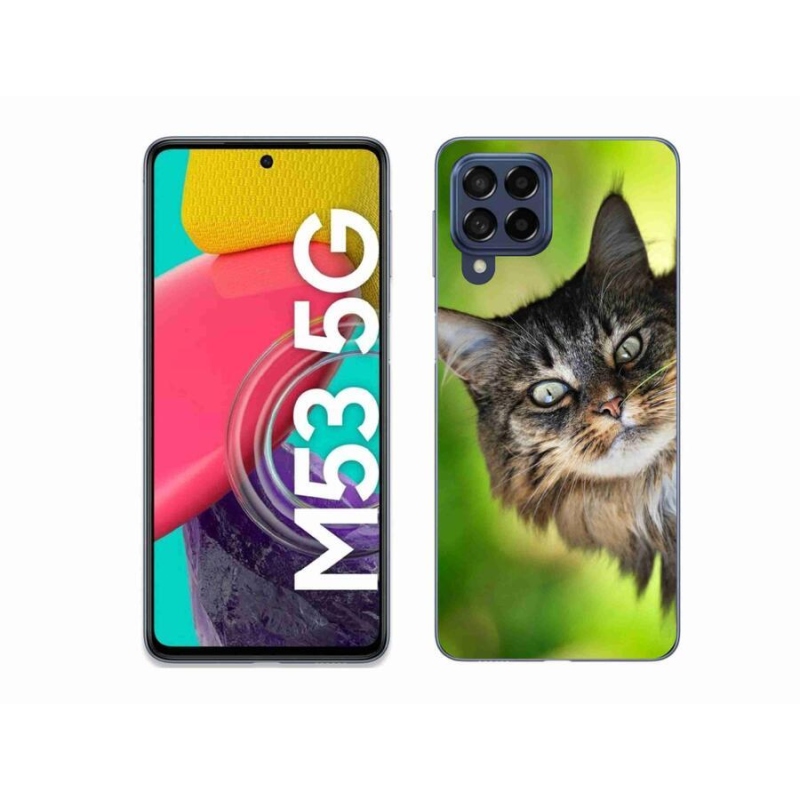Gelový kryt mmCase na mobil Samsung Galaxy M53 5G - kočka 3
