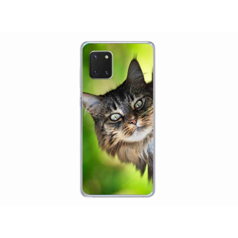 Gelový kryt mmCase na mobil Samsung Galaxy Note 10 Lite - kočka 3