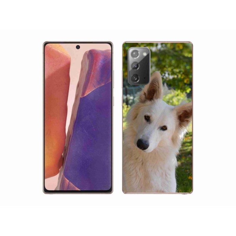 Gelový kryt mmCase na mobil Samsung Galaxy Note 20/Note 20 5G - bílý švýcarský ovčák 1