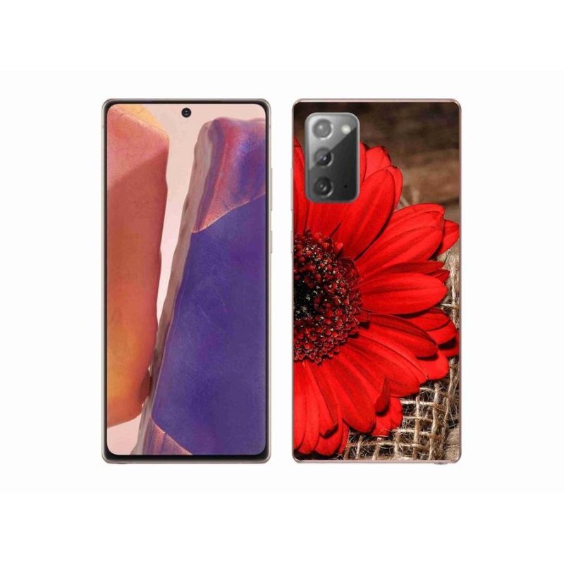 Gelový kryt mmCase na mobil Samsung Galaxy Note 20/Note 20 5G - gerbera