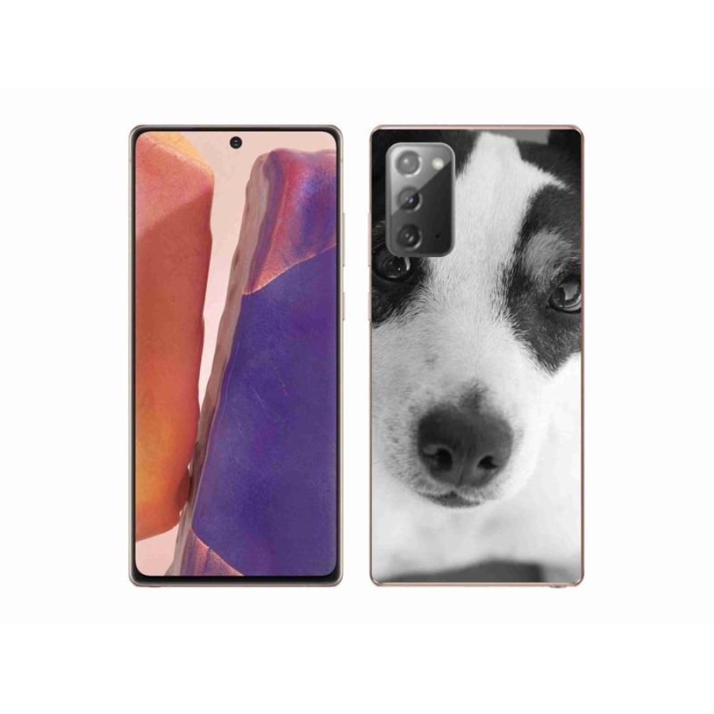 Gelový kryt mmCase na mobil Samsung Galaxy Note 20/Note 20 5G - pes