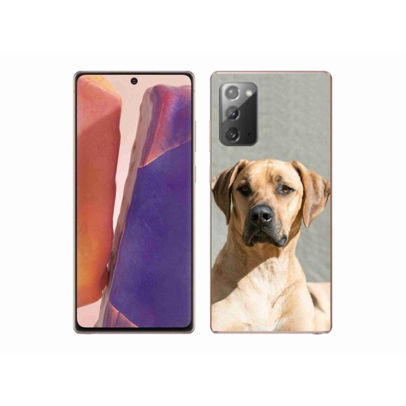 Gelový kryt mmCase na mobil Samsung Galaxy Note 20/Note 20 5G - ridgeback