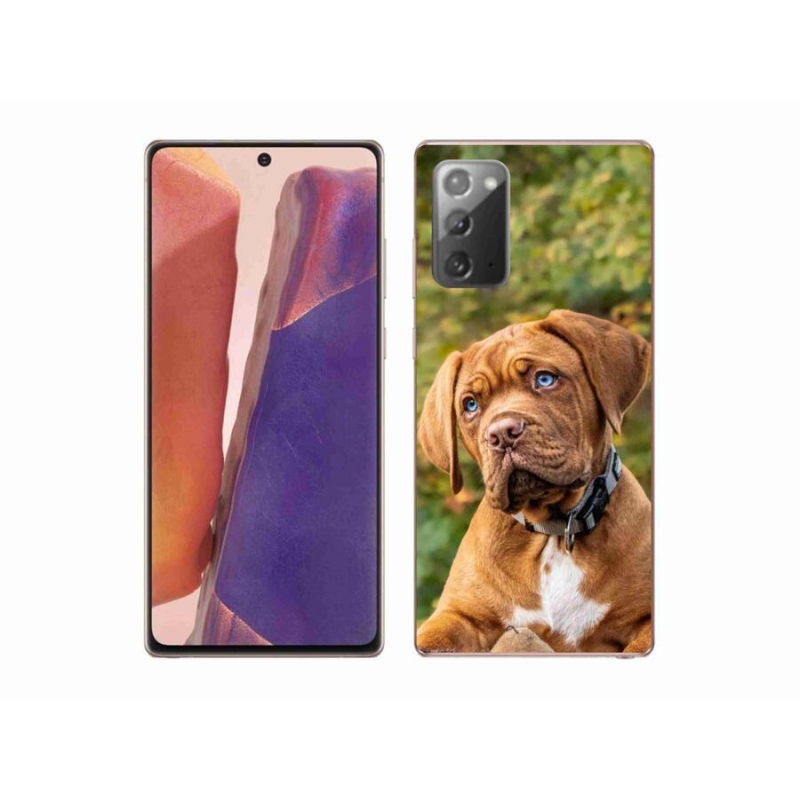 Gelový kryt mmCase na mobil Samsung Galaxy Note 20/Note 20 5G - štěně