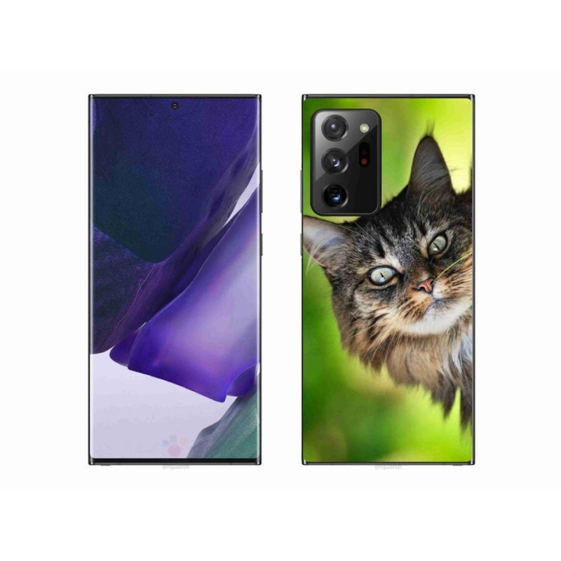 Gelový kryt mmCase na mobil Samsung Galaxy Note 20 Ultra - kočka 3