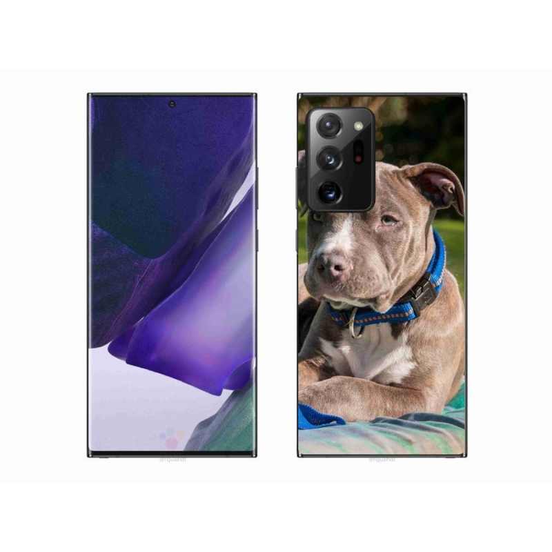Gelový kryt mmCase na mobil Samsung Galaxy Note 20 Ultra - pitbull